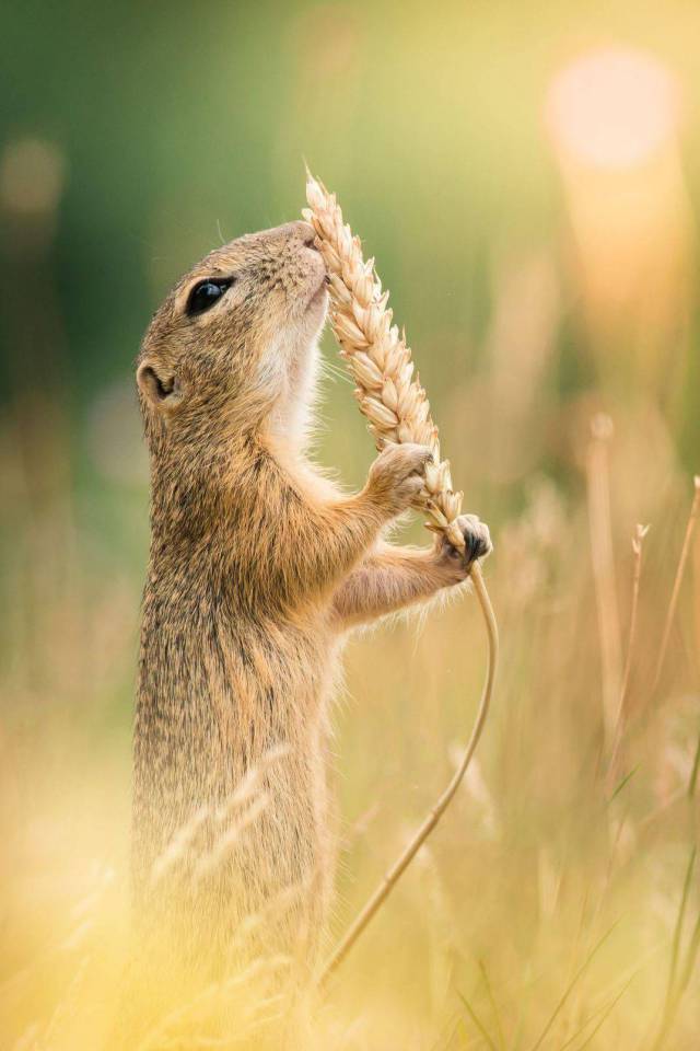 daily picdump 91 pics 3.html - 91 HD Photos | Premium Gallery 2018