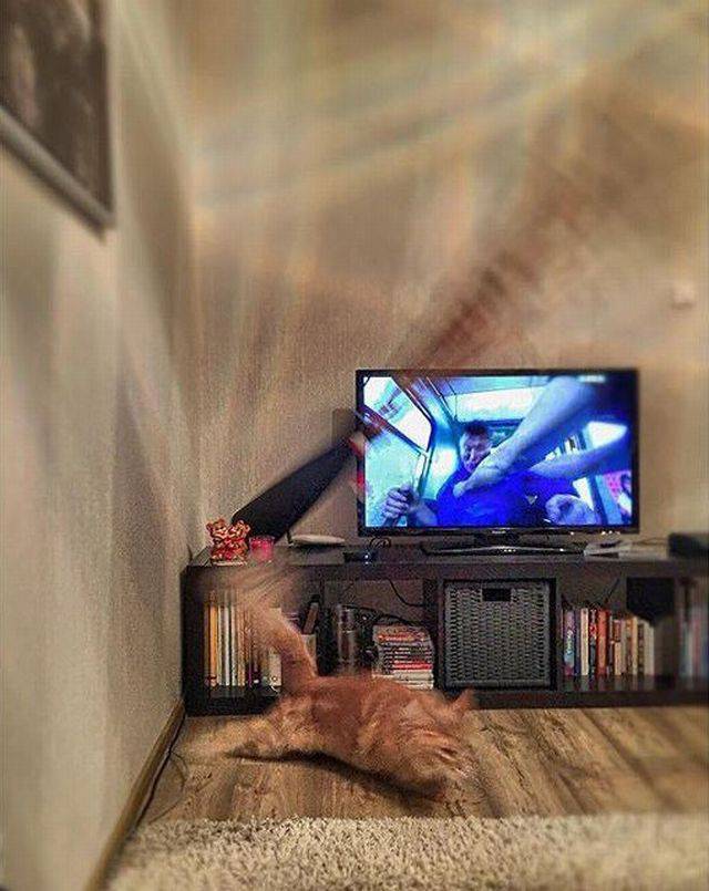 daily picdump 91 pics 3.html - 91 HD Photos | Premium Gallery 2018