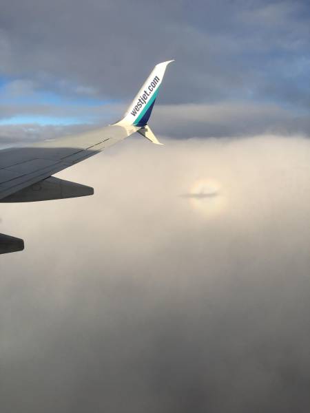 morning picdump 51 pics 2.html - 51 HD Photos | Premium Gallery 2018