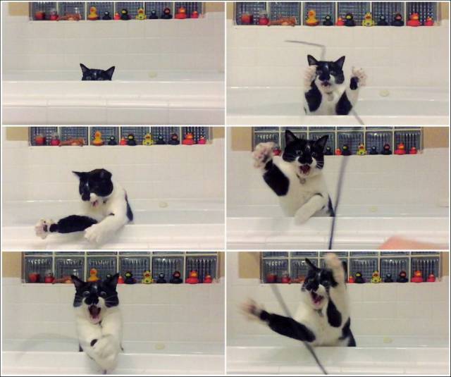 daily picdump 99 pics 5.html - 99 HD Photos | Premium Gallery 2018