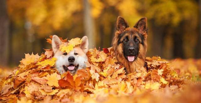 daily picdump 99 pics 5.html - 99 HD Photos | Premium Gallery 2018