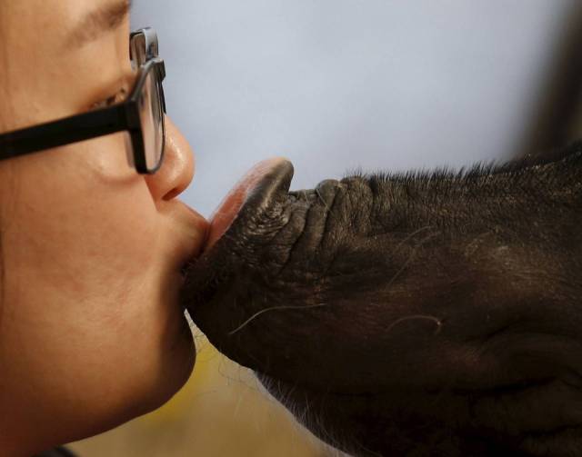 daily picdump 99 pics 5.html - 99 HD Photos | Premium Gallery 2018