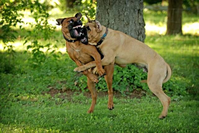 daily picdump 99 pics 5.html - 99 HD Photos | Premium Gallery 2018