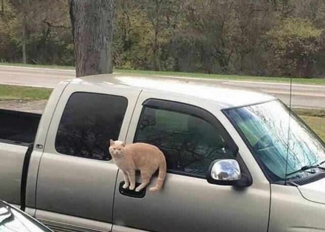 daily picdump 99 pics 5.html - 99 HD Photos | Premium Gallery 2018