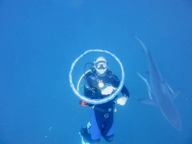 daily picdump 99 pics 5.html - 99 HD Photos | Premium Gallery 2018