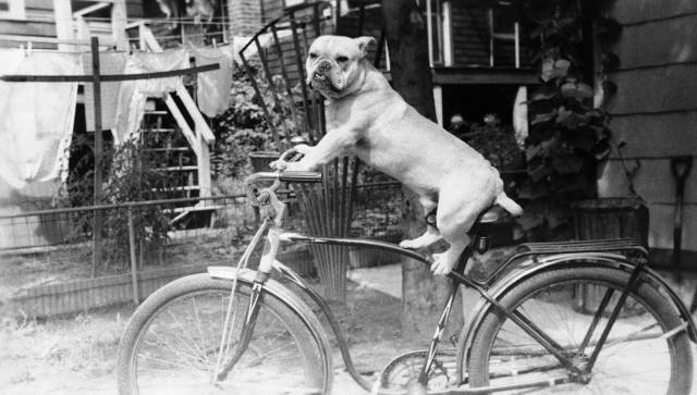 daily picdump 99 pics 5.html - 99 HD Photos | Premium Gallery 2018