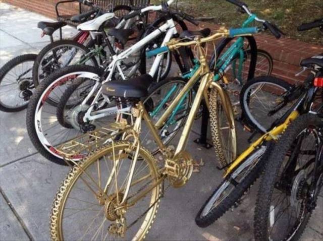 daily picdump 99 pics 5.html - 99 HD Photos | Premium Gallery 2018