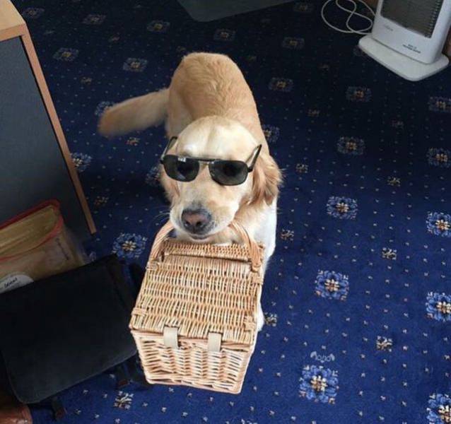 daily picdump 99 pics 5.html - 99 HD Photos | Premium Gallery 2018