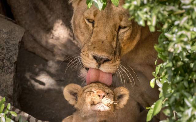 daily picdump 99 pics 5.html - 99 HD Photos | Premium Gallery 2018