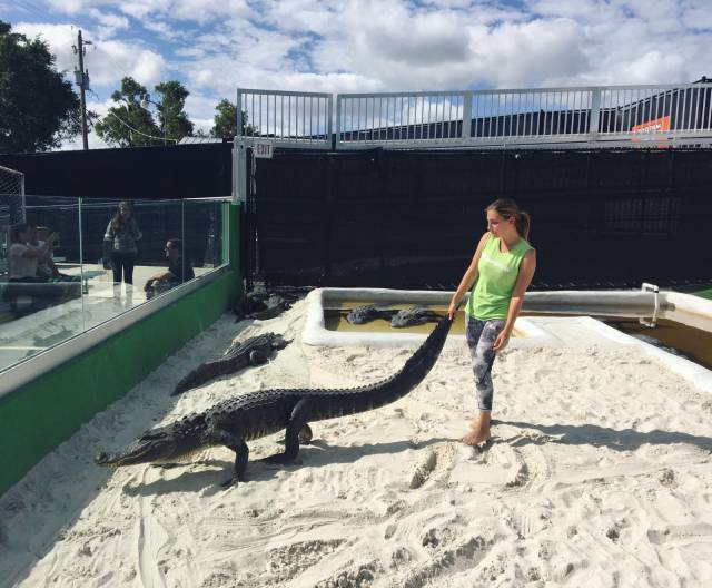 daily picdump 99 pics 5.html - 99 HD Photos | Premium Gallery 2018