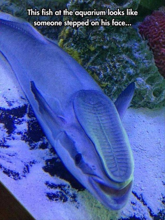 daily picdump 99 pics 5.html - 99 HD Photos | Premium Gallery 2018