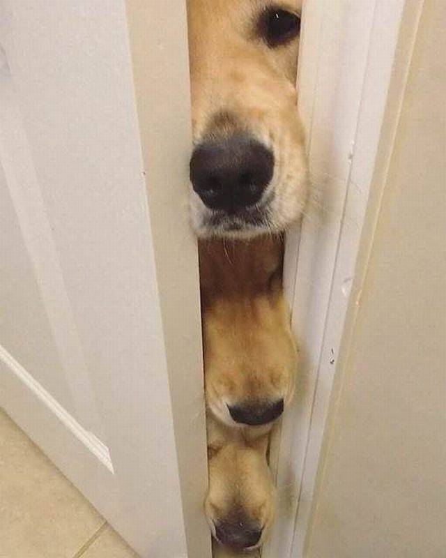 daily picdump 99 pics 5.html - 99 HD Photos | Premium Gallery 2018