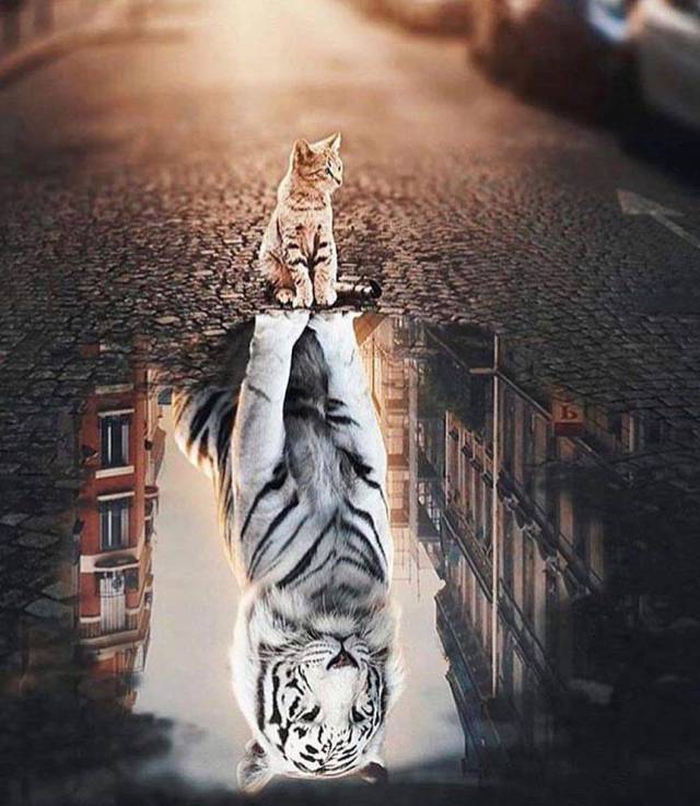 daily picdump 99 pics 5.html - 99 HD Photos | Premium Gallery 2018