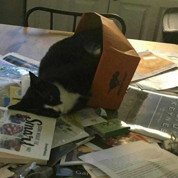 morning picdump 50 pics 18.html - 50 HD Photos | Premium Gallery 2018