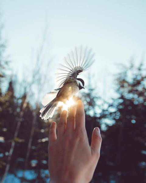 morning picdump 50 pics 18.html - 50 HD Photos | Premium Gallery 2018