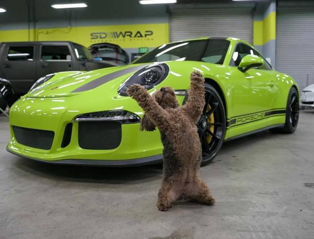 daily picdump weekend edition 67 pics 2.html - 67 HD Photos | Premium Gallery 2018