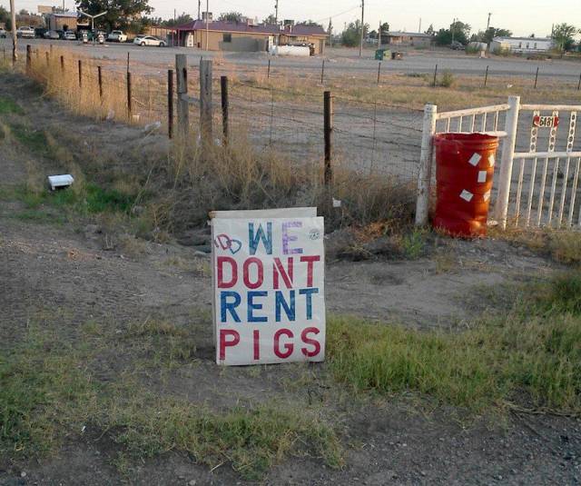 daily picdump weekend edition 67 pics 2.html - 67 HD Photos | Premium Gallery 2018