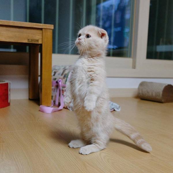 daily picdump weekend edition 67 pics 2.html - 67 HD Photos | Premium Gallery 2018