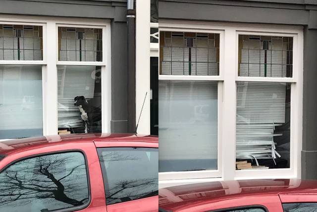 daily picdump weekend edition 67 pics 2.html - 67 HD Photos | Premium Gallery 2018