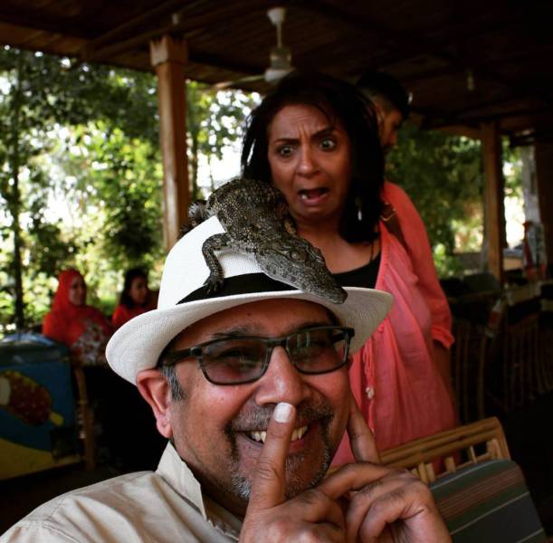 daily picdump weekend edition 67 pics 2.html - 67 HD Photos | Premium Gallery 2018