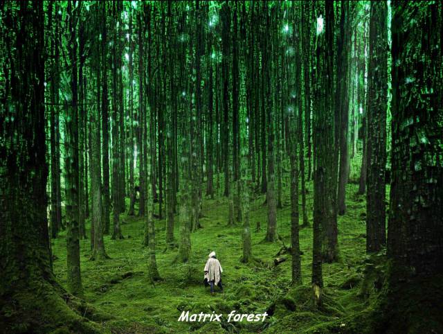 daily picdump weekend edition 67 pics 2.html - 67 HD Photos | Premium Gallery 2018