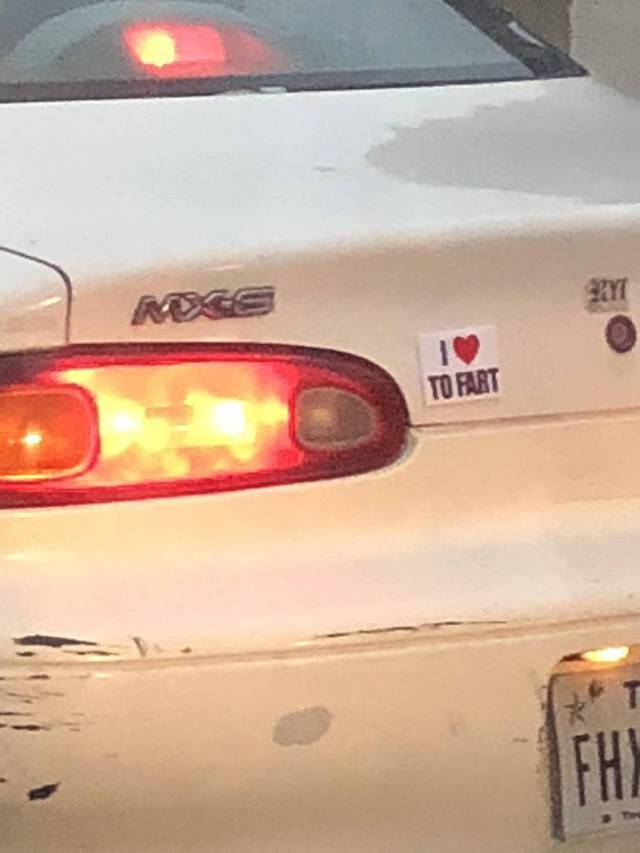 Daily Picdump [WEEKEND EDITION]