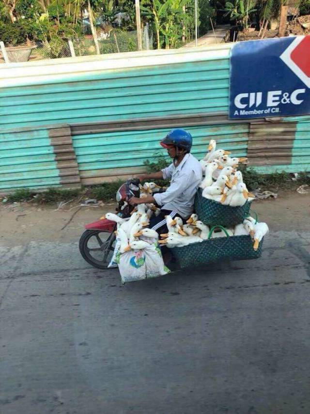 daily picdump weekend edition 67 pics 2.html - 67 HD Photos | Premium Gallery 2018