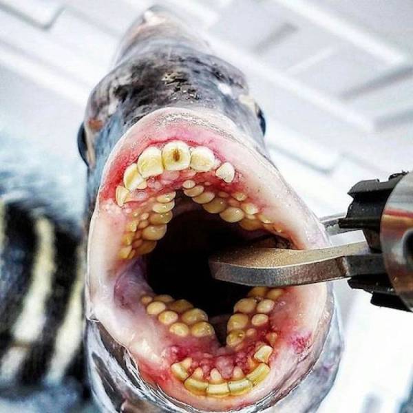 daily picdump 101 pics 30.html - 101 HD Photos | Premium Gallery 2018