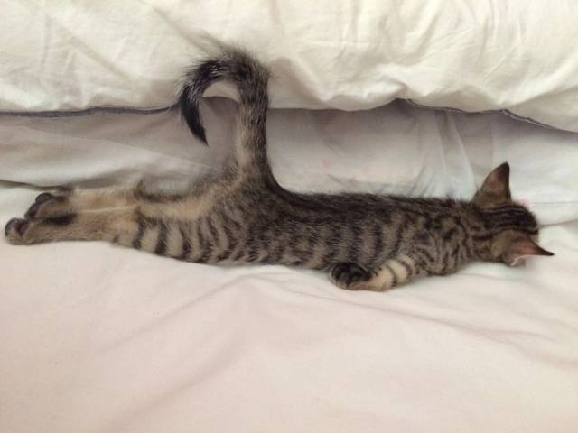 daily picdump 101 pics 30.html - 101 HD Photos | Premium Gallery 2018