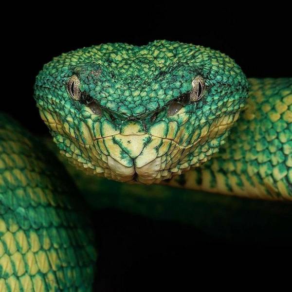 daily picdump 101 pics 30.html - 101 HD Photos | Premium Gallery 2018