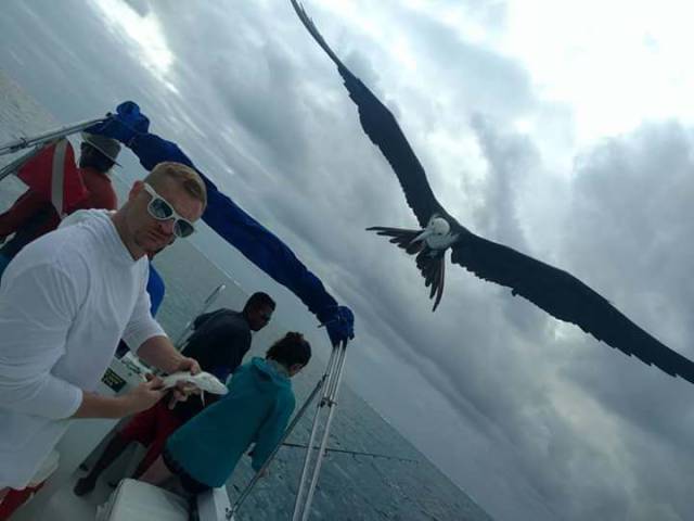 daily picdump 101 pics 30.html - 101 HD Photos | Premium Gallery 2018