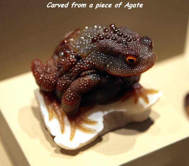 daily picdump 101 pics 30.html - 101 HD Photos | Premium Gallery 2018