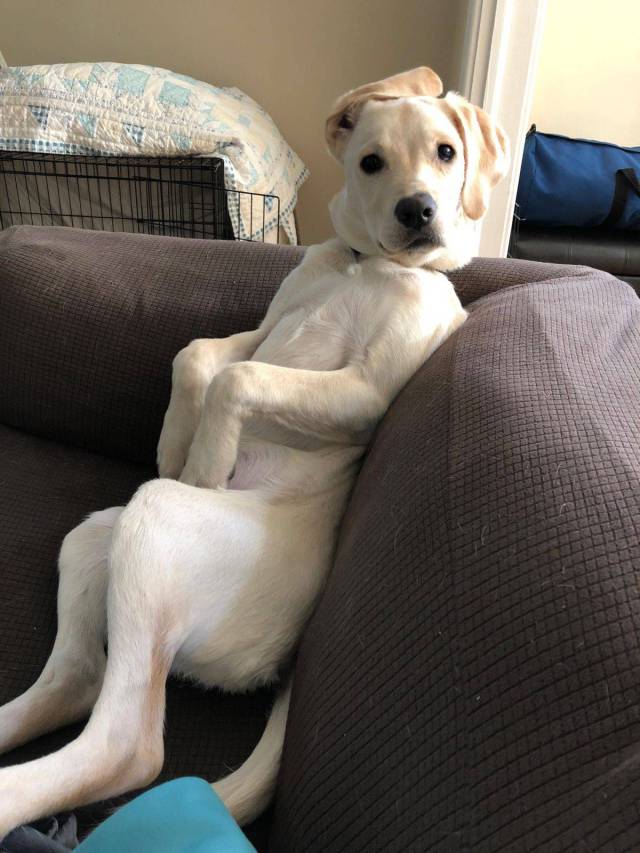 daily picdump 101 pics 30.html - 101 HD Photos | Premium Gallery 2018