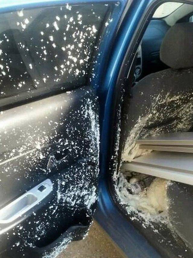 daily picdump 101 pics 30.html - 101 HD Photos | Premium Gallery 2018