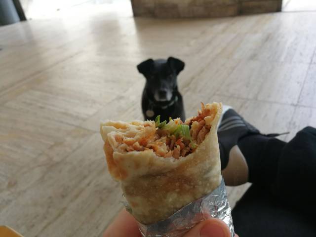 daily picdump 98 pics 3.html - 98 HD Photos | Premium Gallery 2018