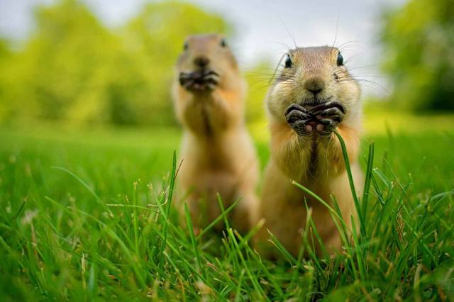 daily picdump 98 pics 3.html - 98 HD Photos | Premium Gallery 2018