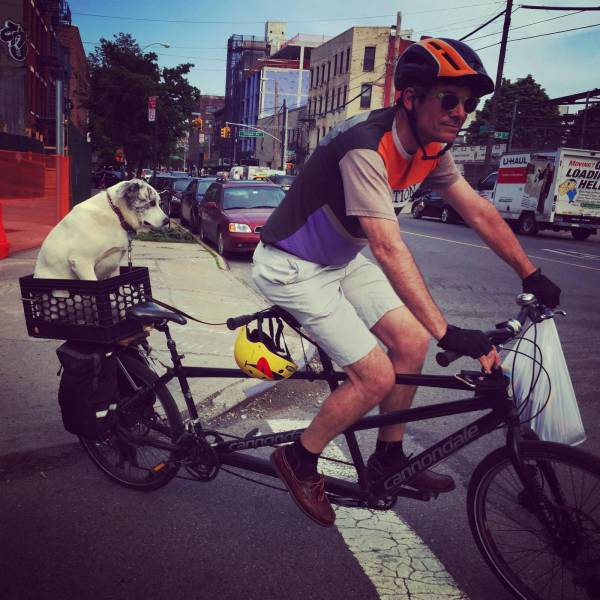 daily picdump 98 pics 3.html - 98 HD Photos | Premium Gallery 2018