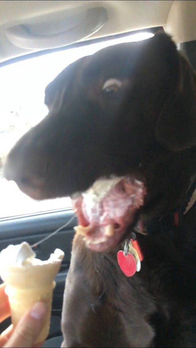 daily picdump 98 pics 3.html - 98 HD Photos | Premium Gallery 2018