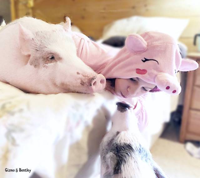 morning picdump 50 pics 3.html - 50 HD Photos | Premium Gallery 2018