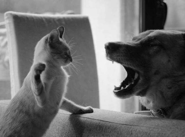 daily picdump 94 pics 4.html - 94 HD Photos | Premium Gallery 2018