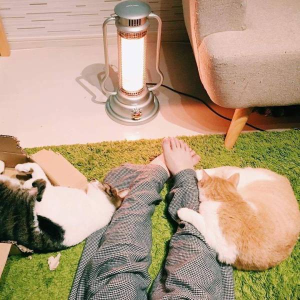 daily picdump 94 pics 4.html - 94 HD Photos | Premium Gallery 2018