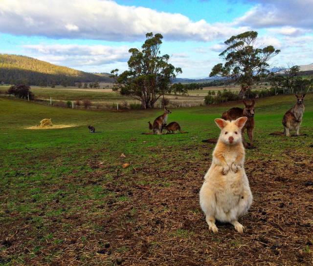 daily picdump 94 pics 4.html - 94 HD Photos | Premium Gallery 2018