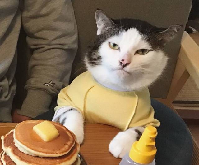 daily picdump 94 pics 4.html - 94 HD Photos | Premium Gallery 2018