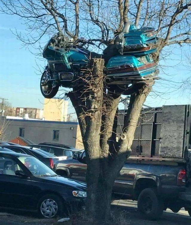 daily picdump 94 pics 4.html - 94 HD Photos | Premium Gallery 2018