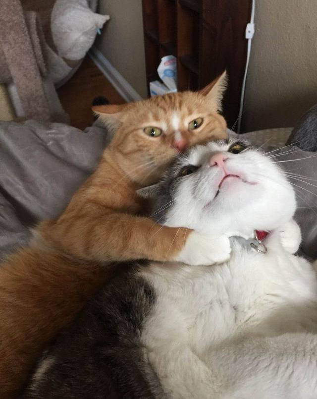 daily picdump 94 pics 4.html - 94 HD Photos | Premium Gallery 2018