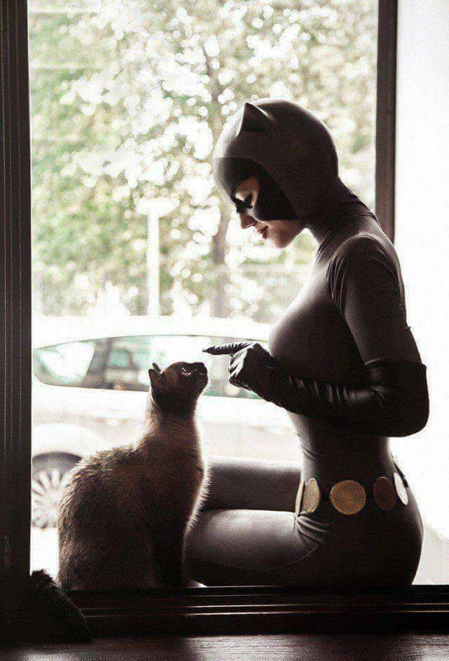 daily picdump 94 pics 4.html - 94 HD Photos | Premium Gallery 2018