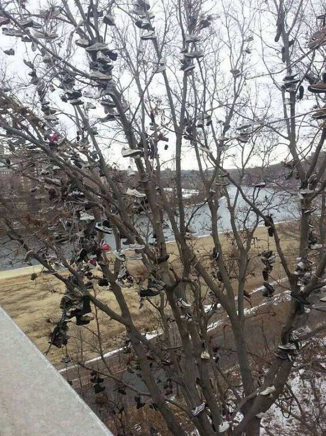 daily picdump 94 pics 4.html - 94 HD Photos | Premium Gallery 2018