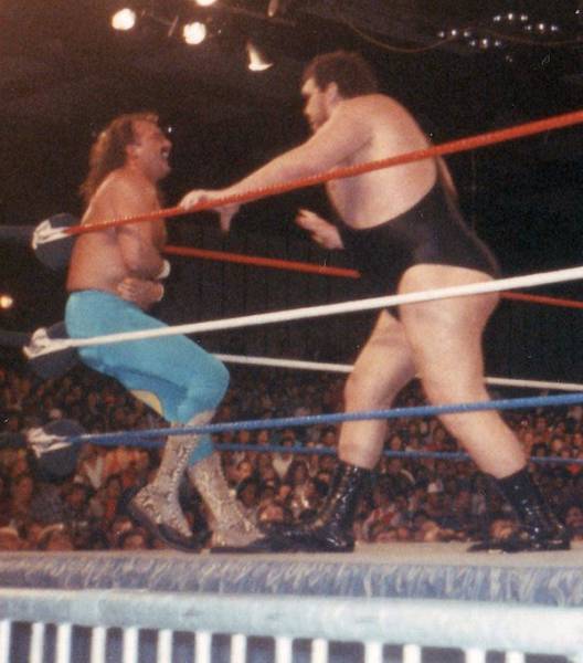 Gigantic Facts About Andre The Giant