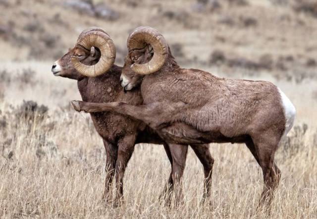 morning picdump 52 pics 2.html - 52 HD Photos | Premium Gallery 2018