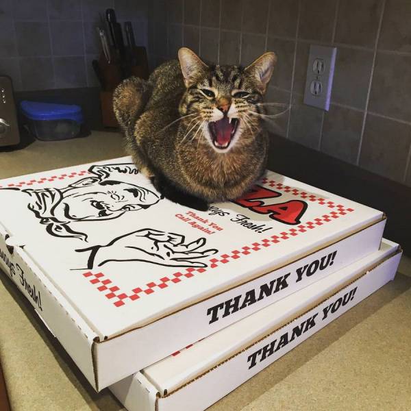 daily picdump 99 pics 12.html - 99 HD Photos | Premium Gallery 2018